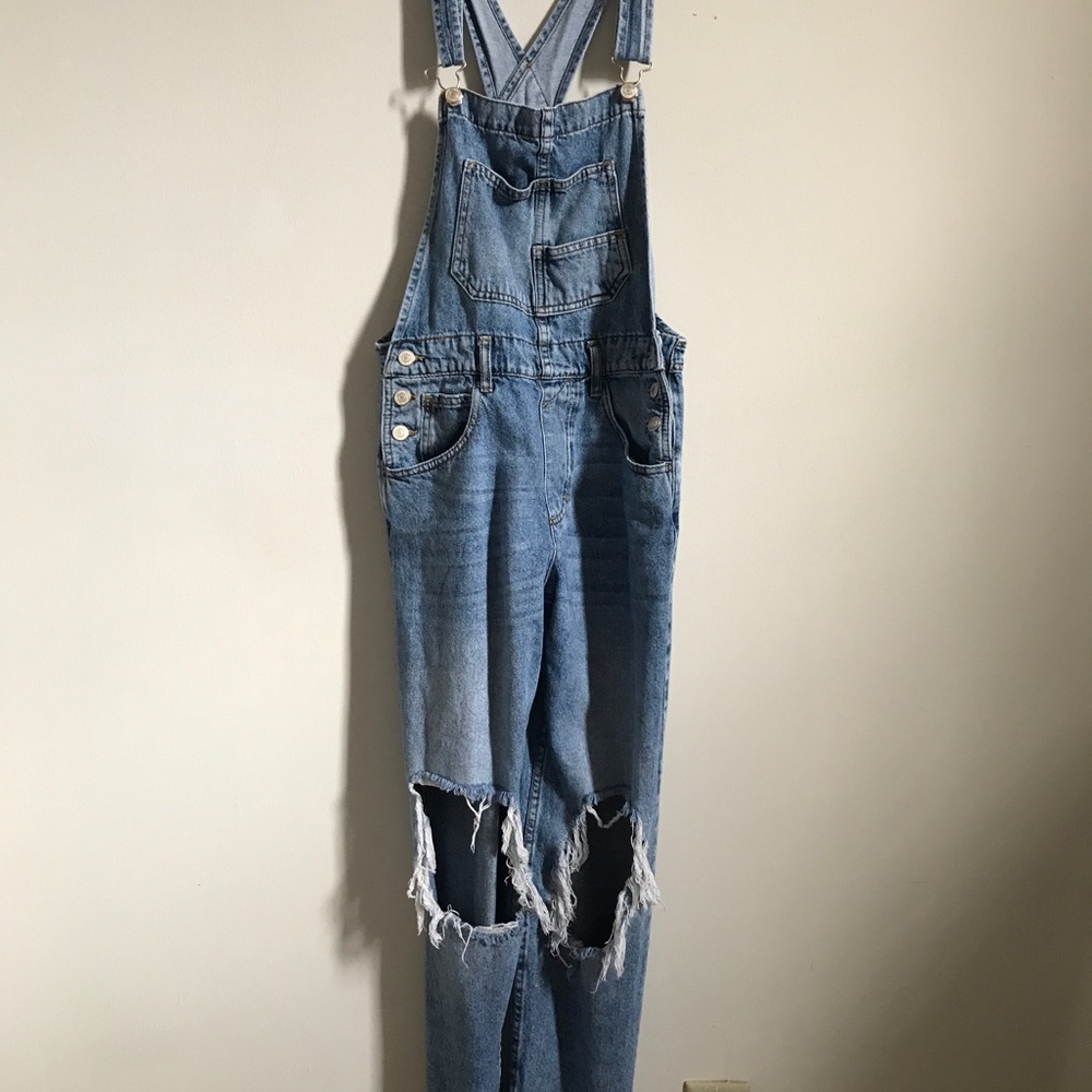 Free People Ziggy Denim Overalls